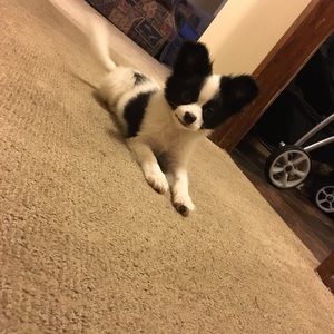 Meet your Posher, Danielle